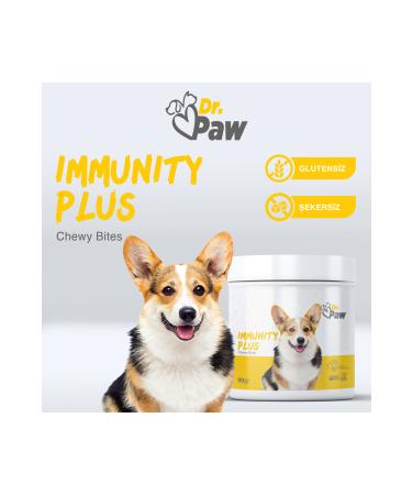 Vivid Striped Pied Seed 2 Kg