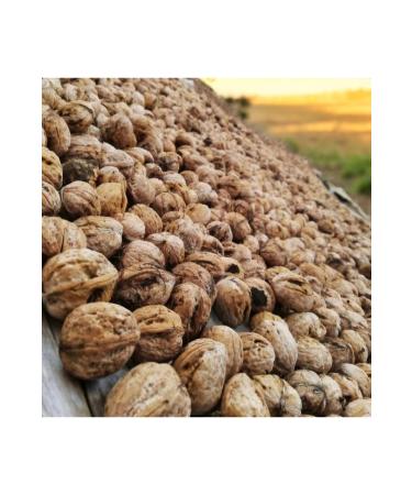 Elvan Biscotime Hazelnut Chip Cookies 250 Gr. (5 Pieces)