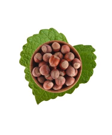 SEYYAHIN FTL Organic Carob Molasses 350 g