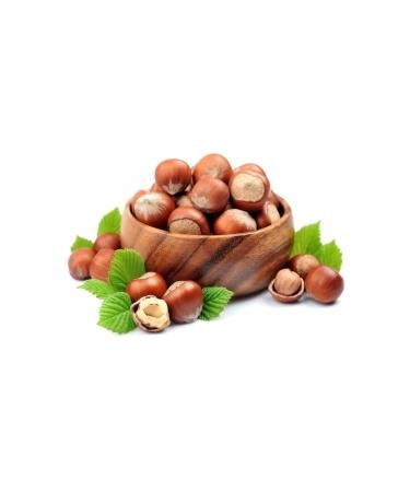 EZEL PUMPKIN SEEDS PAN-SALTED - 500GR