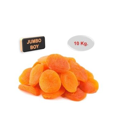 muni Coconut Peanut Bar 40g x 12 pieces - Buy Online on GoSupps.com