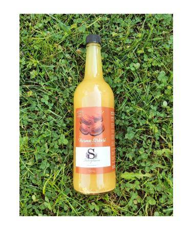 Wellcare Omega 3 Mixed Fruit Flavored Fish Oil - 150 ml - Buy Online on GoSupps.com