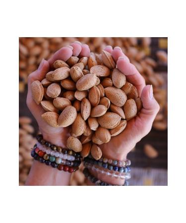 Gupguru Mushroom Powder 5 Kg