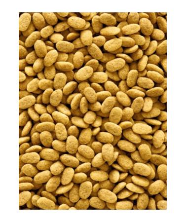 Carnaval Lamb Adult Cat Food 1.5kg