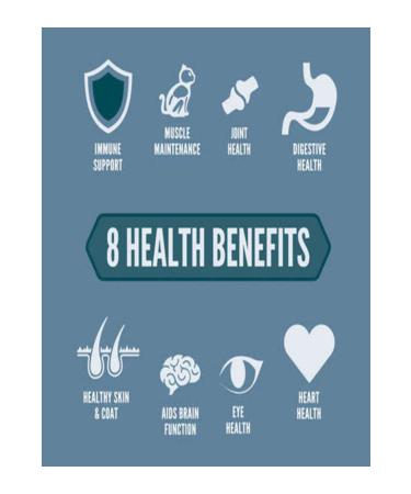 Orijen Guardian8 4.5 Kg - Cat Food for Adult Cats - Buy Online on GoSupps.com