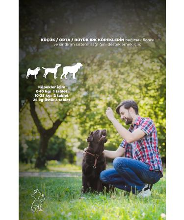 RAWTOWN Keramo Dukamo - Ethiopia - Quality Filter Coffee 200g - Coffee Beans - Buy Online on GoSupps.com