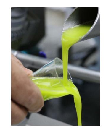HATAY AH N FTL K Halhali Topaka Hand-Cracked Pitted Green Olives 950 Gr