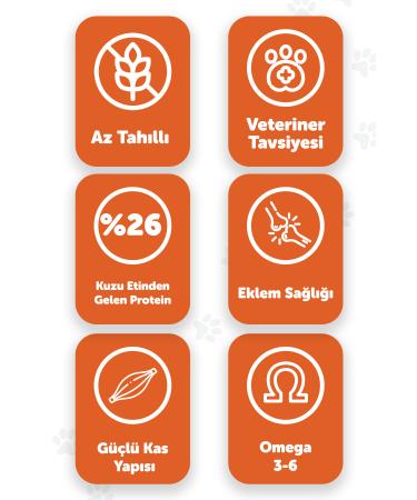 Aptamil APTAMIL PROSYNEO 6-12 MONTHS 2 NUMBER 400 GR 3-PACK NEW PACKAGING