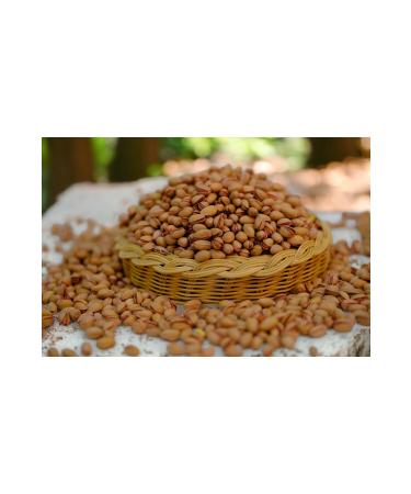 Snack Plate Pistachio Charm - 500 gr