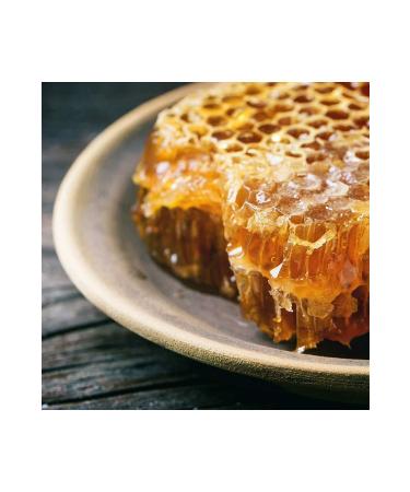 TRANSFER Collagen Peptides Type 1-5 Detox Effective