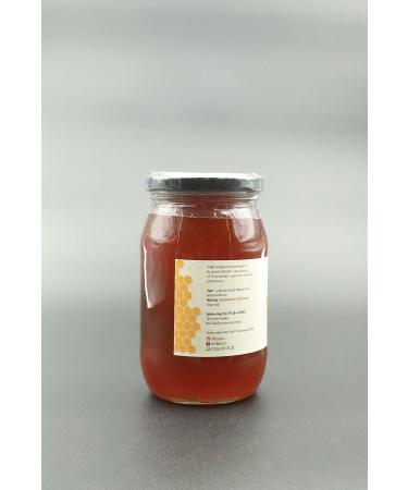 Nif Honey Natural Pine Honey 460 G Glass Jar - Buy Online on GoSupps.com