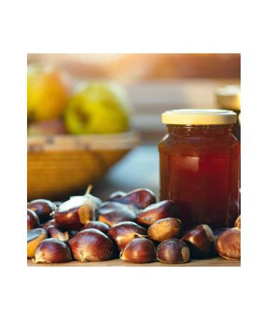 FT ALATURKA TASTES CHESTNUT HONEY 250 GR