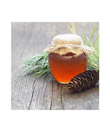 Home PINE HONEY TIN 5 KG - Buy Online on GoSupps.com