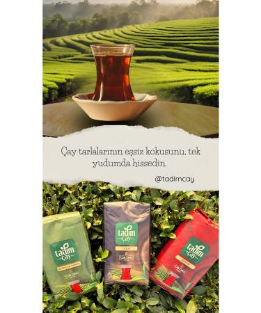 Soul Kitchen Organic Products Organic Scratched Tomato Green Olives 300gr - Buy Online on GoSupps.com