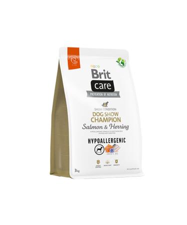 Mcnuss Cocoa Nibs and Cocoa Peanut Bar Vegan 40 gr X 12 Pack - Buy Online on GoSupps.com