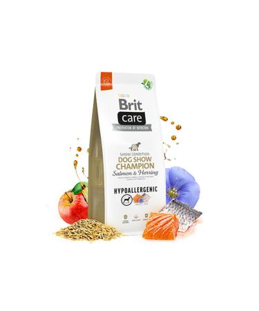 Mcnuss Cocoa Nibs and Cocoa Peanut Bar Vegan 40 gr X 12 Pack - Buy Online on GoSupps.com
