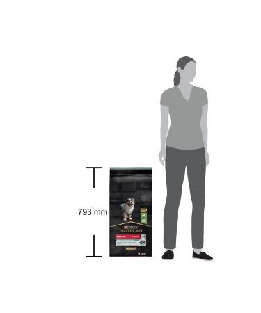 Balen Pure Flower Honey 450 Gr