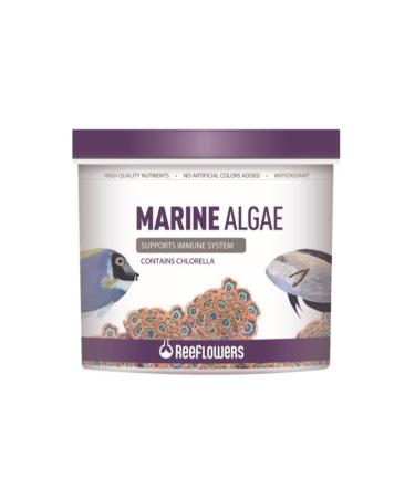 ReeFlowers Marine Algae 100 GR