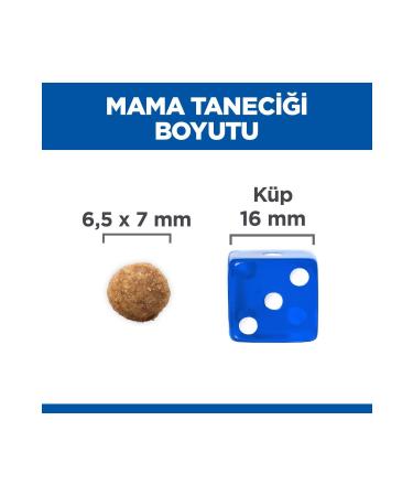 Grain-Free Adult Cat Canned Food with Minced Chicken Meat 400 Gr