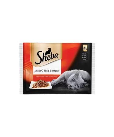 Plaisir Pate 100gr Salmon Fish Meat 12pcs Wet Cat Food
