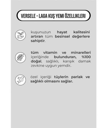 A Roasting Lab Timeless Blend 4x250 Gram Ground Coffee