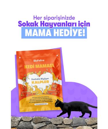 Sera Goldy Nature Goldfish Food Flake 250 ml