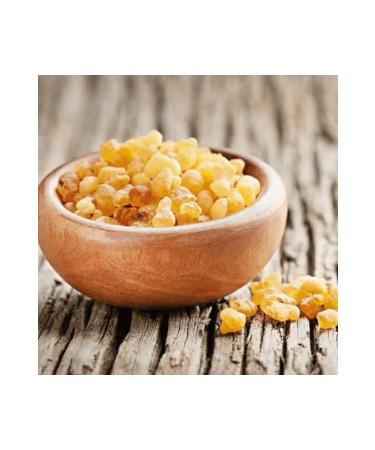 Royal Canin Chihuahua Junior Puppy Food 1.5kg - Buy Online on GoSupps.com
