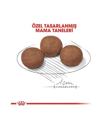 Royal Canin Puppy Medium Medium Breed Puppy Food 4 Kg - Buy Online on GoSupps.com