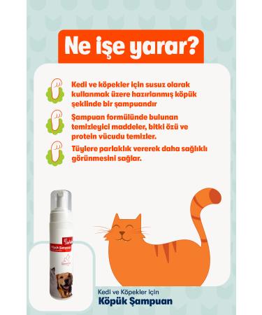 BioFeline Purifying Shampoo | For Cats and Dogs | Deep Cleaning and Healthy Fur | 200ml - Buy Online on GoSupps.com