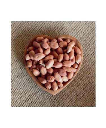 Pets Family KOI & GOLD FISH NATURAL STICKS 1L/100G