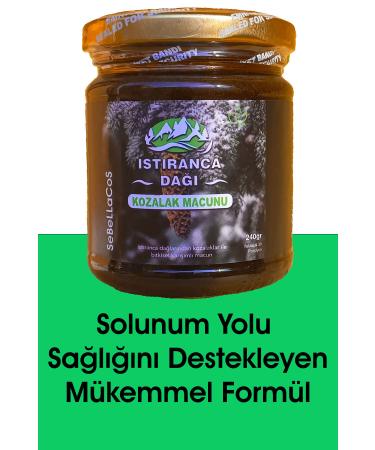 Pets Family KOI & GOLD FISH NATURAL STICKS 1L/100G