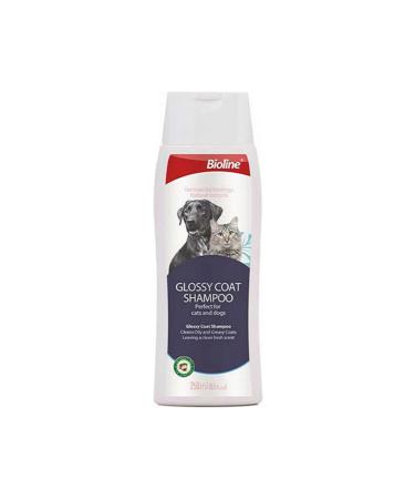 Bioline Oily Hairy Cat and Dog Shampoo 250 ml