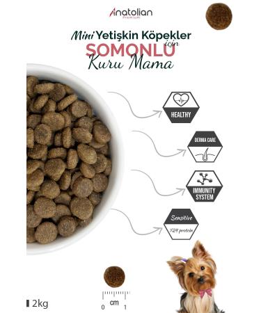 Anatolian Premium Mini Adult Salmon Adult Small Breed Dog Food with Salmon 2 Kg - Buy Online on GoSupps.com