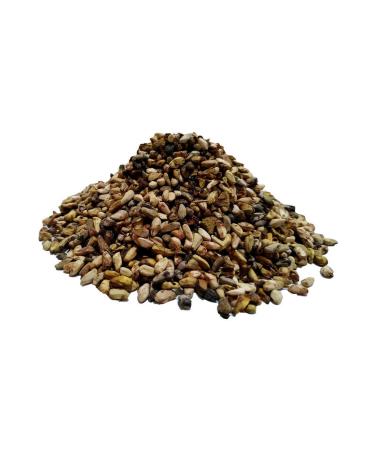 Moliendo Ravello Espresso Blend Coffee (COFFEE BEANS) 1000 G - Buy Online on GoSupps.com
