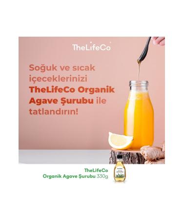 Petiva Fish Meat Dry Dog Food for Adult Dogs (3 KG FISH)