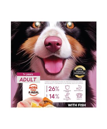 TheLifeCo Natural Organic Agave Nectar 330 Gr - Buy Online on GoSupps.com