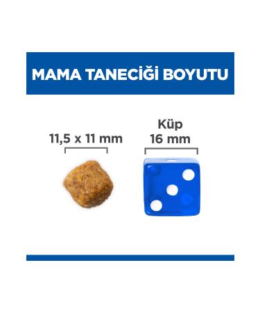 Hill's SCIENCE PLAN Lamb and Rice Medium Breed Adult Dog Food 12+2 Kg - Buy Online on GoSupps.com