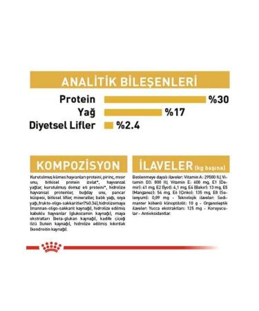 Ocean D3 Vitamin Set for Adults and Children