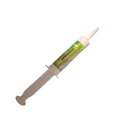 Equiform Aerosoul Paste 50mg