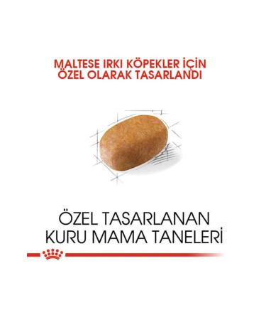 Royal Canin Maltese Bichon Maltais Dog Food 1.5 Kg - Buy Online on GoSupps.com
