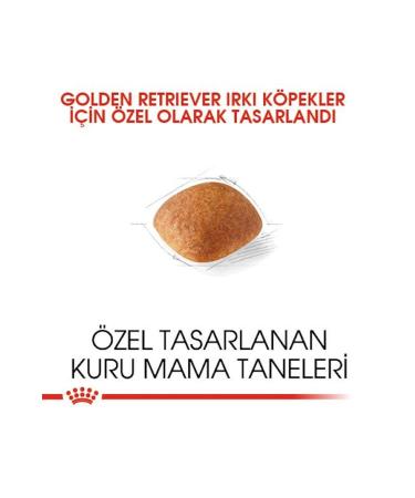 Royal Canin Dog Golden Retriever Dog Food 12 Kg - Buy Online on GoSupps.com