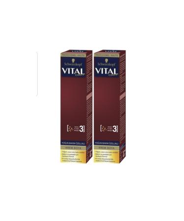Schwarzkopf Wine Red Vital Colors Tube Paint 5-889