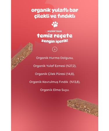 Humm Organic Organic Vegan Strawberry and Hazelnut Oatmeal Bar - 12 pieces - Buy Online on GoSupps.com
