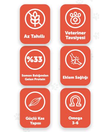 Vitamin Glucosamine Chondroitin Msm 90 Tablets in Water (Glucosamine Chondroitin MSM) - Buy Online on GoSupps.com