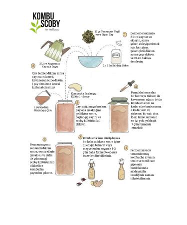 KombuScoby Kombucha Mushroom - Kombucha Culture - Kombucha Scoby - Kombucha Tea Maxi Kit - Buy Online on GoSupps.com