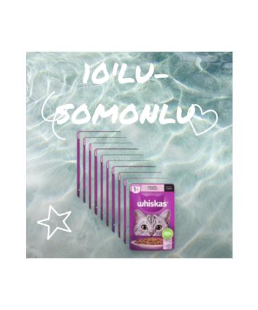 Whiskas 10 Pouch Salmon Wet Cat Food 85 gr