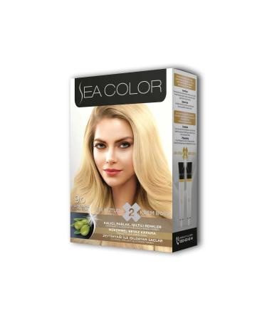 Heez 2 Tube Cream Hair Dye Set Wheat Blonde No:9.0