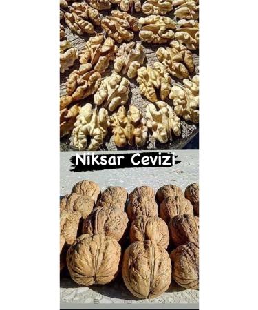 Bioline Cat and Dog Foam Shampoo 220 Gr