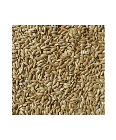 Dennerle Crusta Brennnessel Stixx Shrimp Food 30 Gr