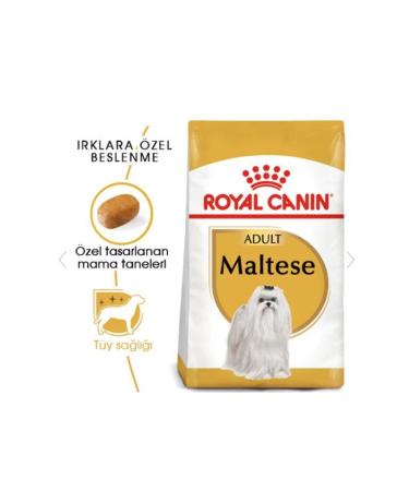 Hill's SCIENCE PLAN Salmon Sterilized Adult Cat Food 8+2 Kg - Buy Online on GoSupps.com